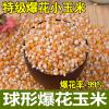 爆花玉米