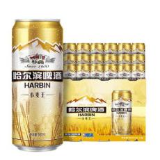 YT哈尔滨小麦...
