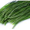 韭菜