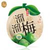 溜溜九制梅