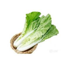 筷菜