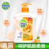 滴露健康抑菌洗手液（自然清新）