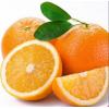 果冻橙