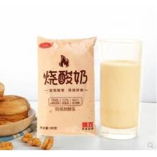 三元烧酸奶发酵乳