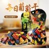 YT甘源每日葡萄干