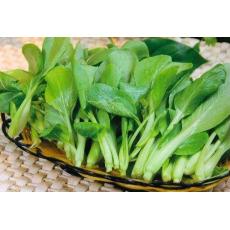 鸡毛菜