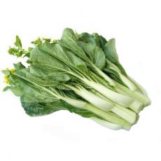 菜芯