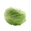 绿甘蓝(2斤起拍）