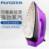 飞科电熨斗FI-9310