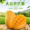 小台芒