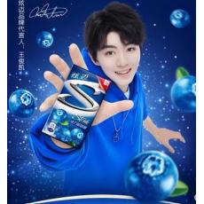 炫迈活力蓝莓味无糖口香糖