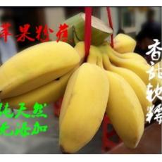 苹果蕉