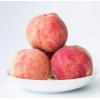 水蜜桃（小）