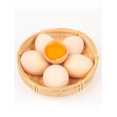 散养粉皮笨鸡蛋