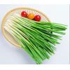 小葱
