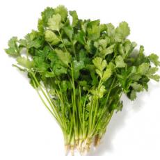 香菜