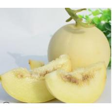玉菇瓜（2斤起...