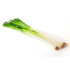 大葱