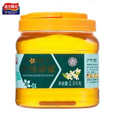 南方阳光洋槐蜂...