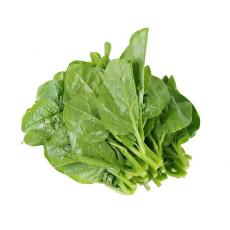 木耳菜
