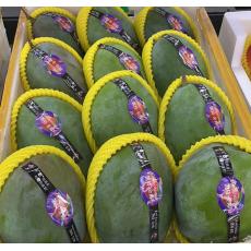 凯特芒果