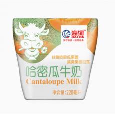 海河哈密瓜牛奶