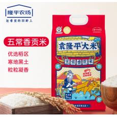 隆平芯五常香贡...