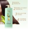 舒蕾绿茶籽控油去屑洗发露