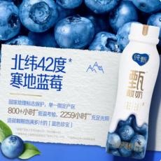 纯甄甄酸奶蓝莓味风味酸牛乳PET瓶