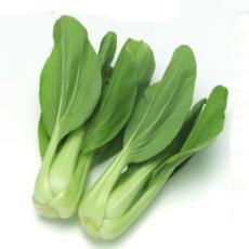 油菜