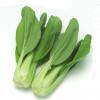 油菜