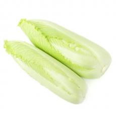 龙牙菜