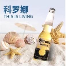 科罗娜特级啤酒11.3°P