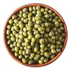 大毛绿豆