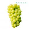 HY阳光玫瑰葡萄（2斤起拍）