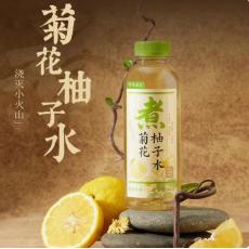 H-可可满分菊...