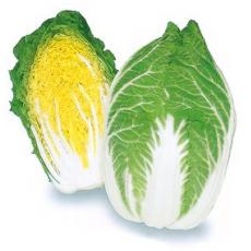 黄心大白菜（限购4斤）