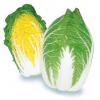 黄心大白菜（限购4斤）