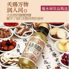 魔水师人参黄芪...