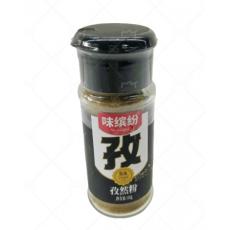 味缤纷瓶孜然粉