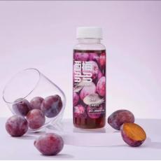 H-成分日记西梅多多西梅纤维果饮