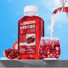 H-轻空突尼斯...