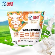 海河花色云中锡...