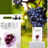 亨冠每益鲜活葡萄味乳酸菌饮品