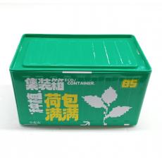 小花农2024-111集装箱种植系列盆栽