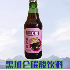 三江龙黑加仑味汽水