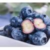 蓝莓