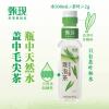 甄现信阳毛尖现泡茶饮料