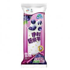 伊利牧场奶提子雪糕6支