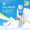 蒙牛真果粒生榨椰奶牛奶饮品
